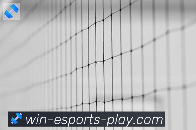 DOTA比分荣誉