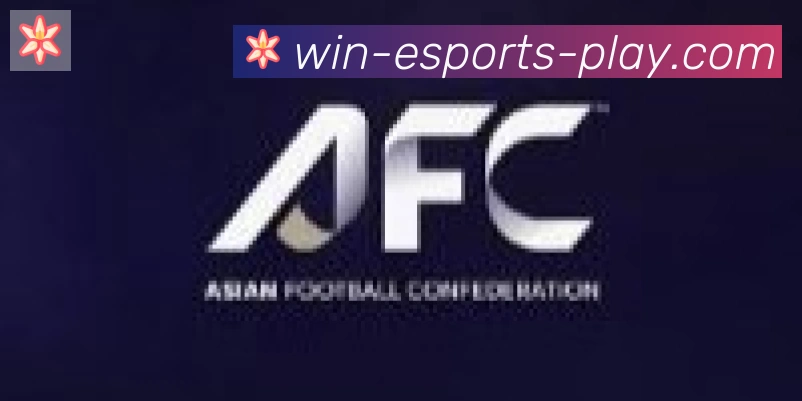 DOTA比分合作伙伴